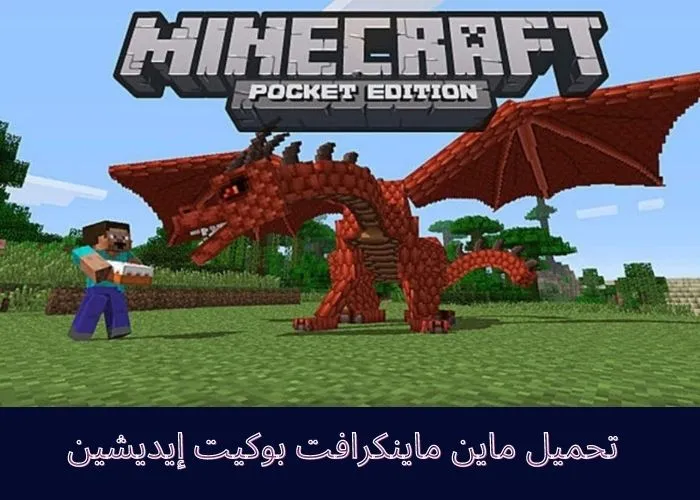 ماينكرافت: بوكيت إيديشين